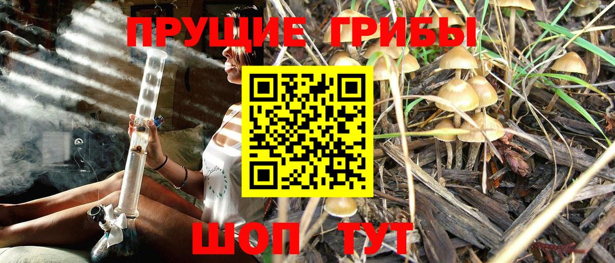 Галлюциногенные грибы мицелий  Вход с VPN  Псилоцибиновые грибы мицелий  где продают наркотики  Сарапул 